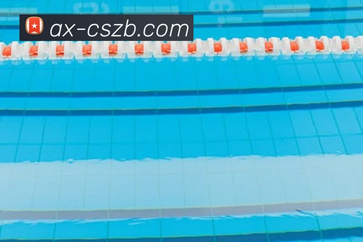 彩神争霸平台生态图